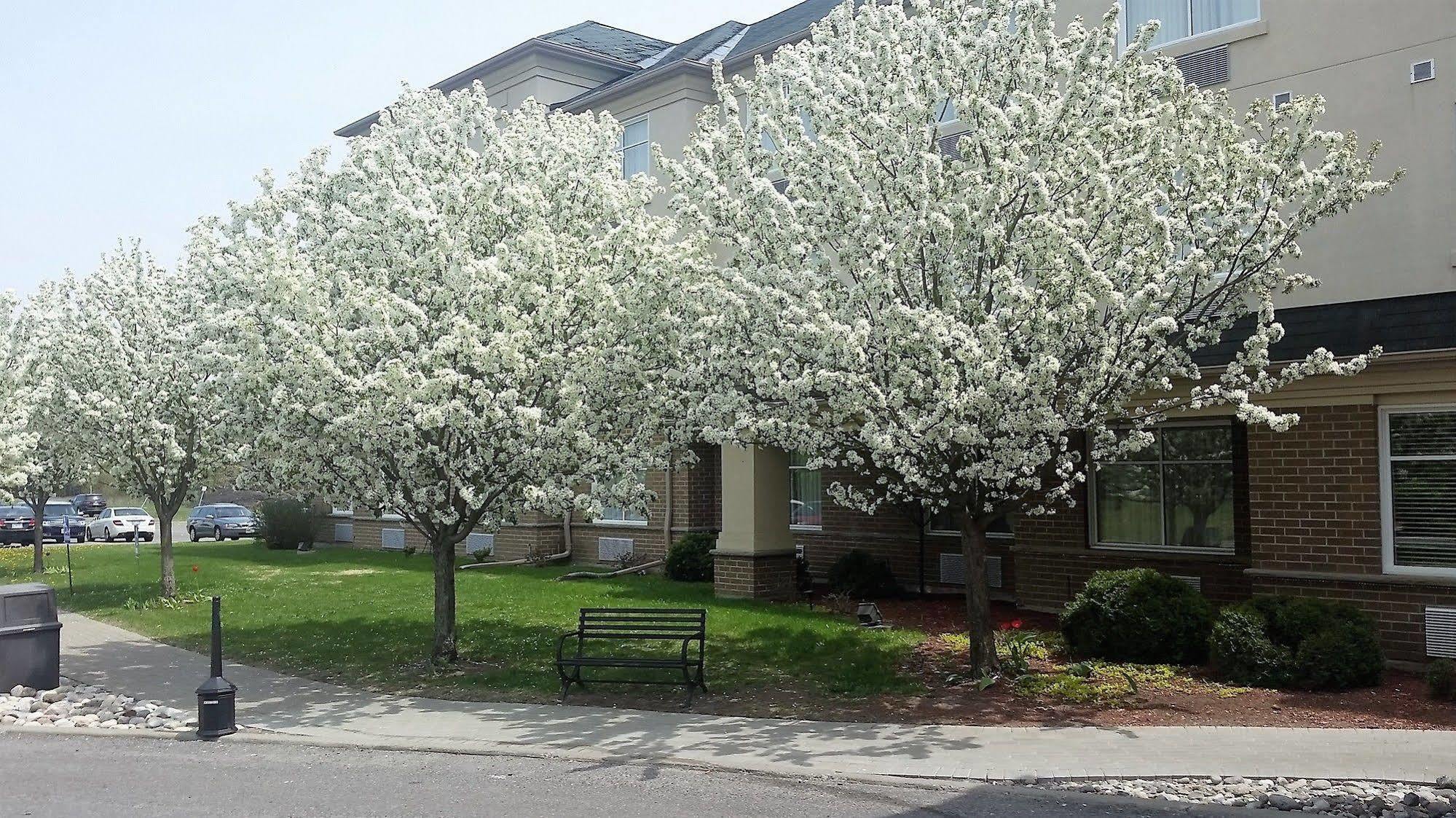 Days Inn By Wyndham Ottawa Airport Ngoại thất bức ảnh